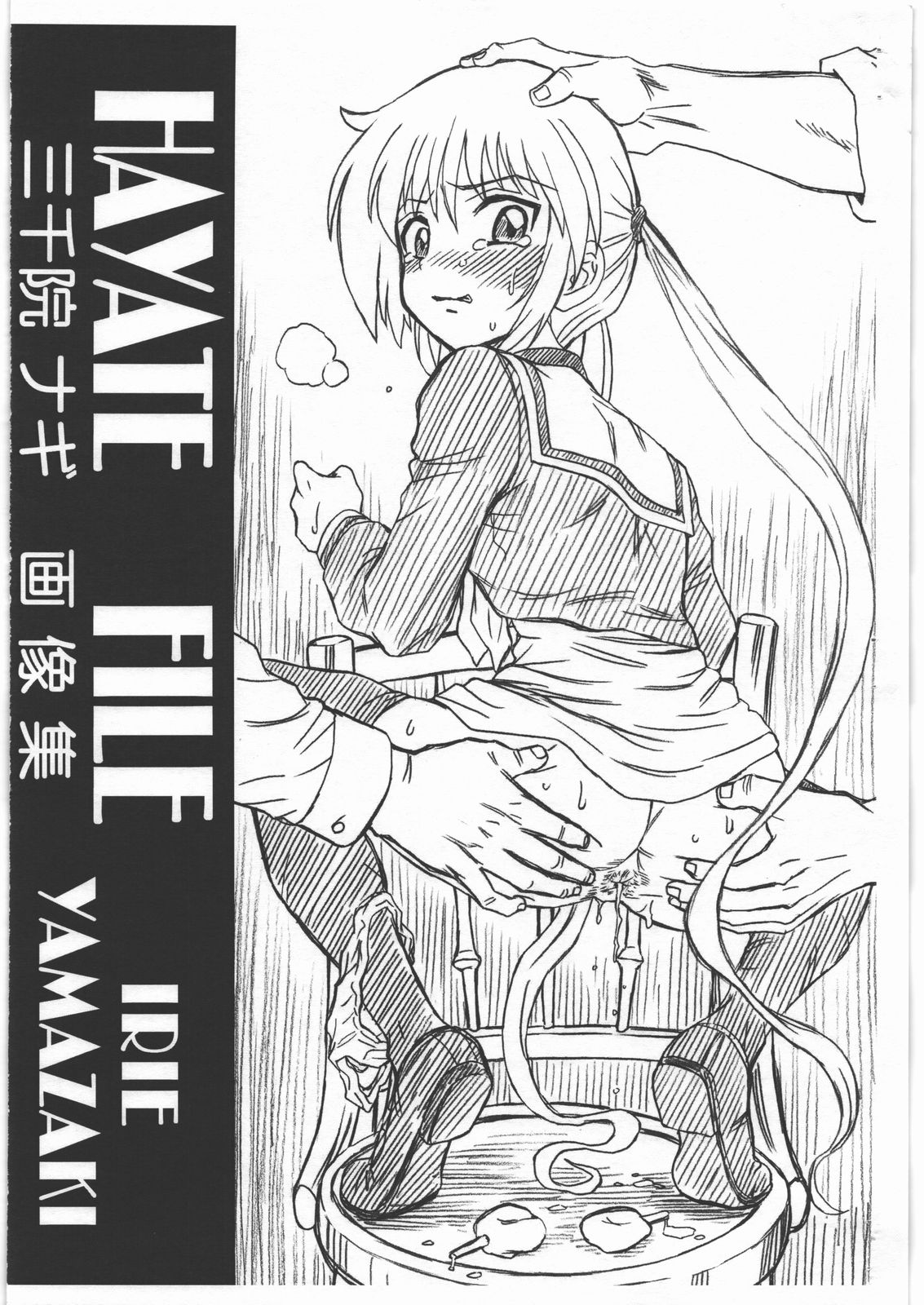HAYATE FILE Sanzenin Nagi Gazoushuu page 1 full