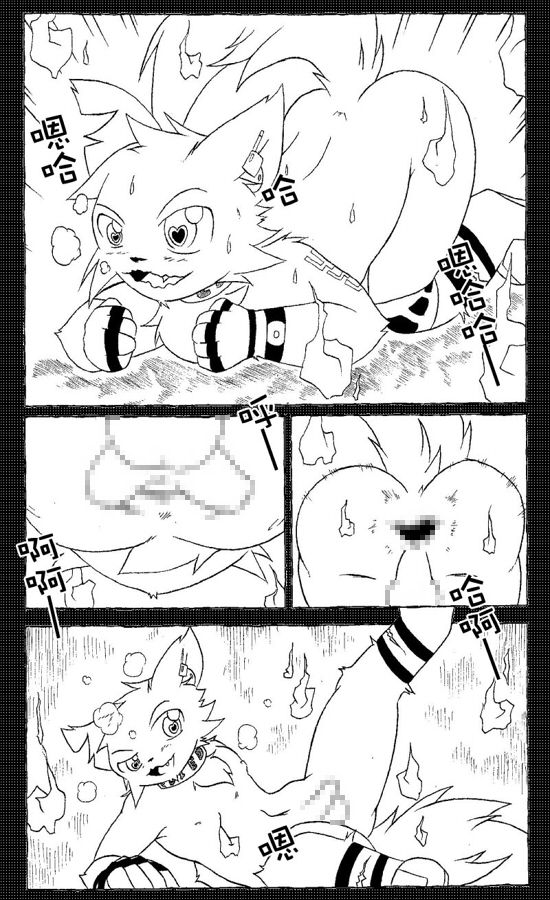 台湾 page 10 full