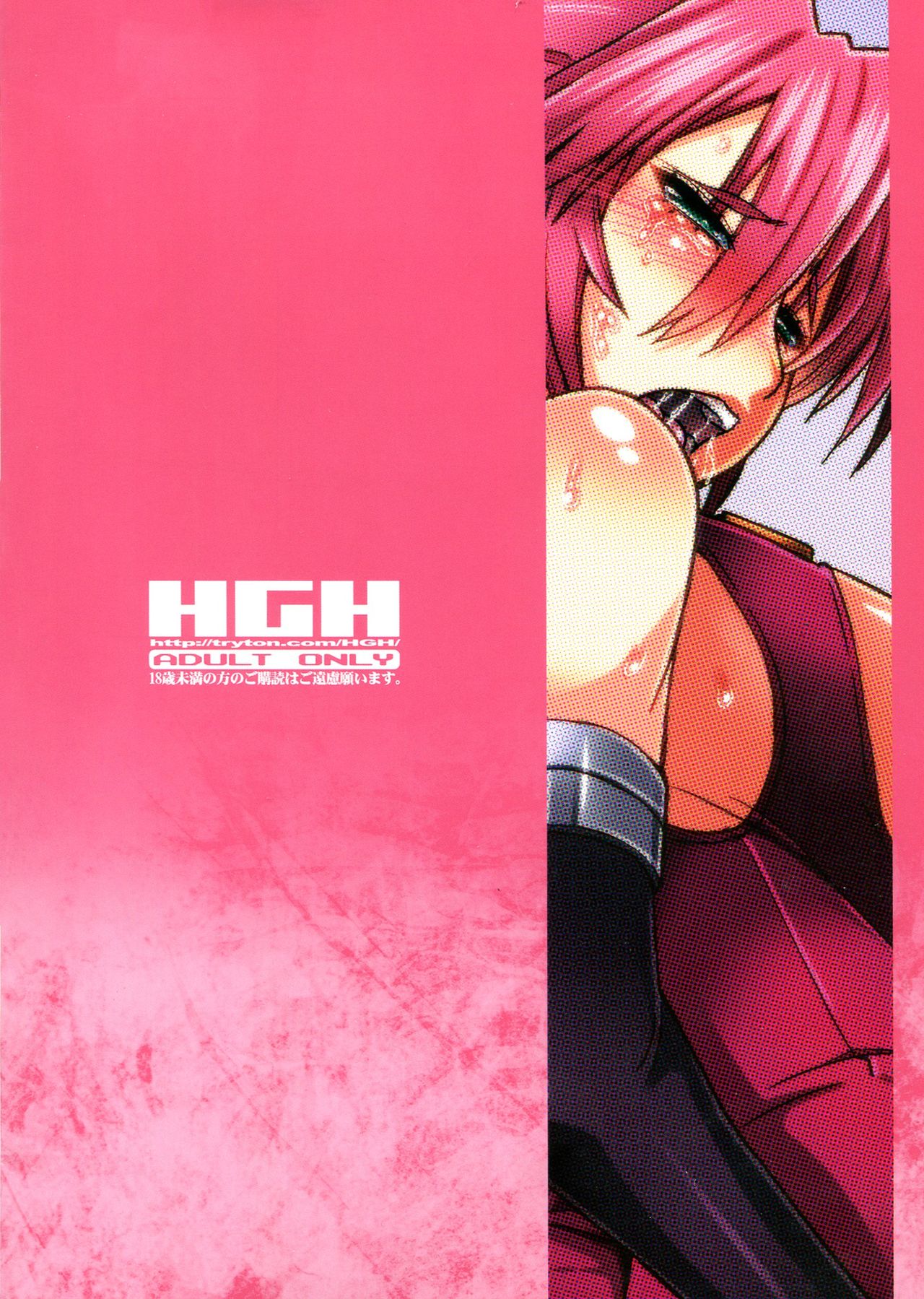 HGUC#03 - Senshi no Nikukabe wa Midara ni Hirogaru - page 2 full