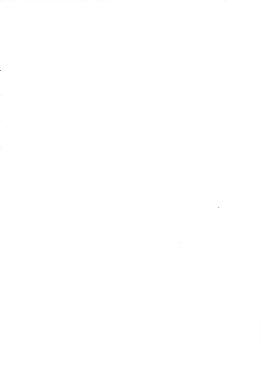 Kage Maoh Zanac page 4 full