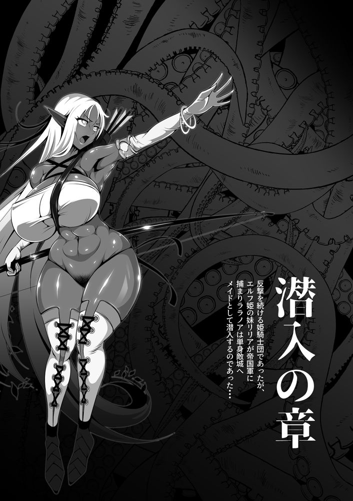 Inmon Akuochi no Hime Kishidan page 10 full