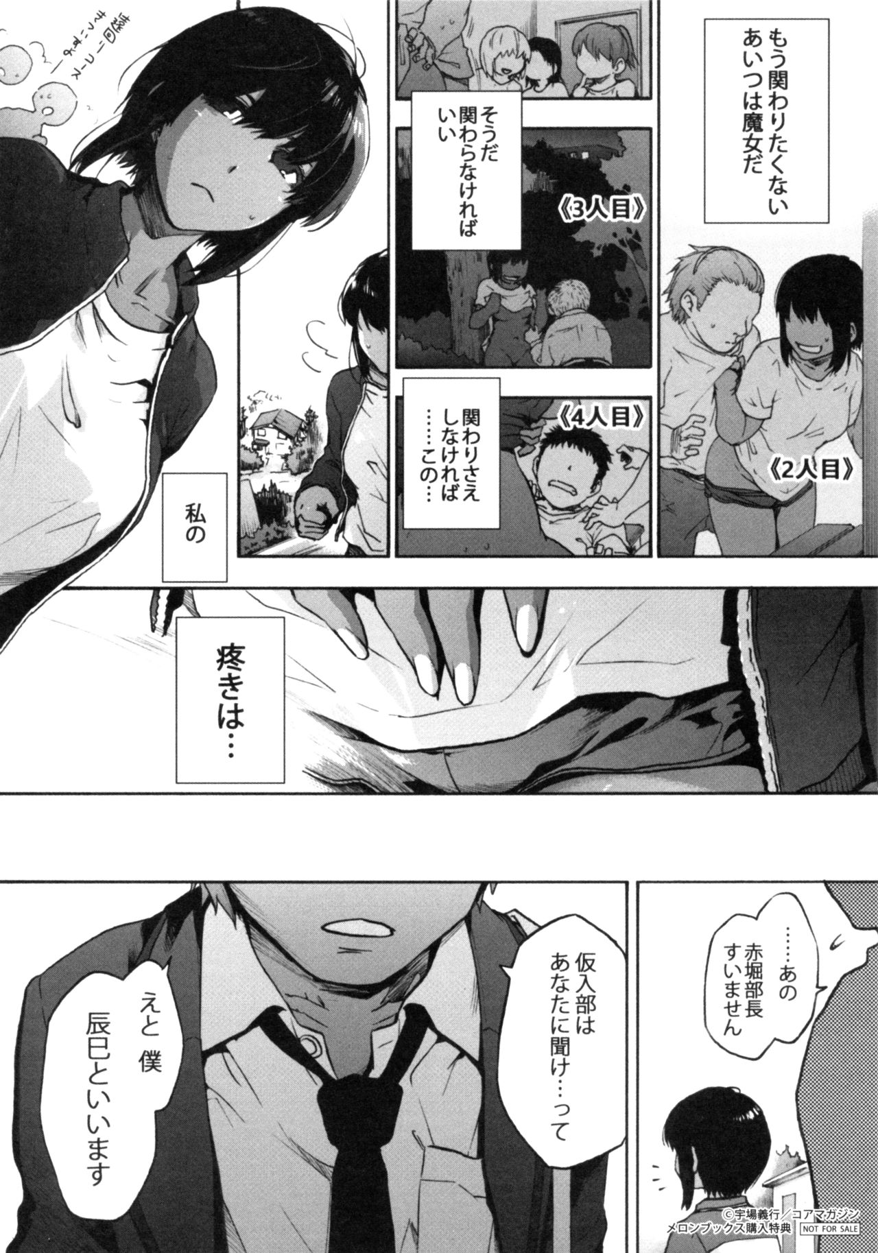 Harem Cult side HAREM Melonbooks Tokuten 4P Leaflet page 4 full