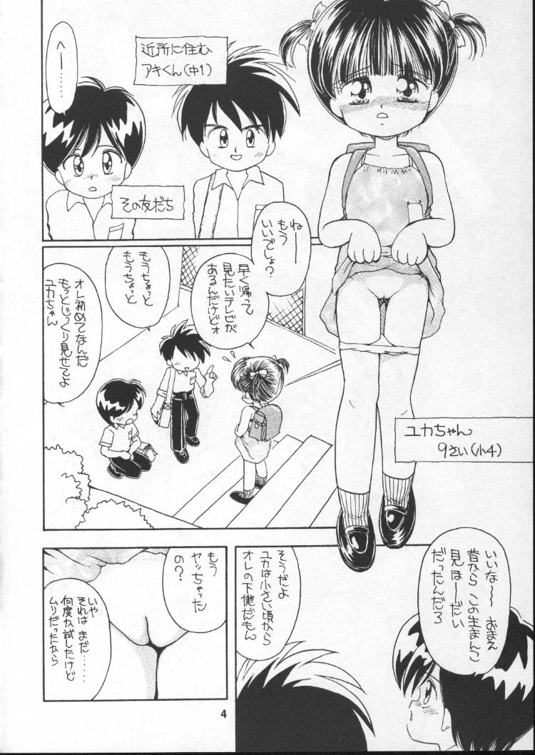 AQCUETA I.I.I. page 3 full