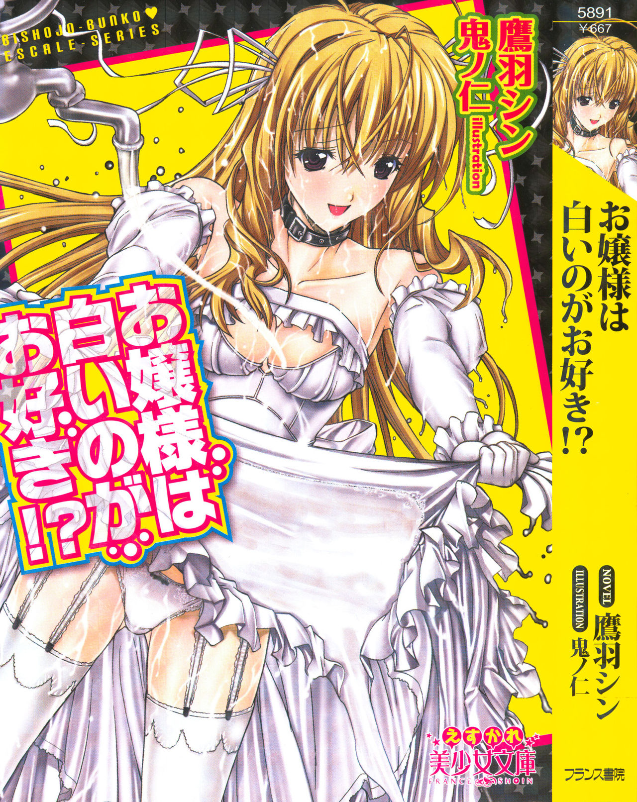 Ojou-sama wa Shiroi no ga Osuki!? page 1 full