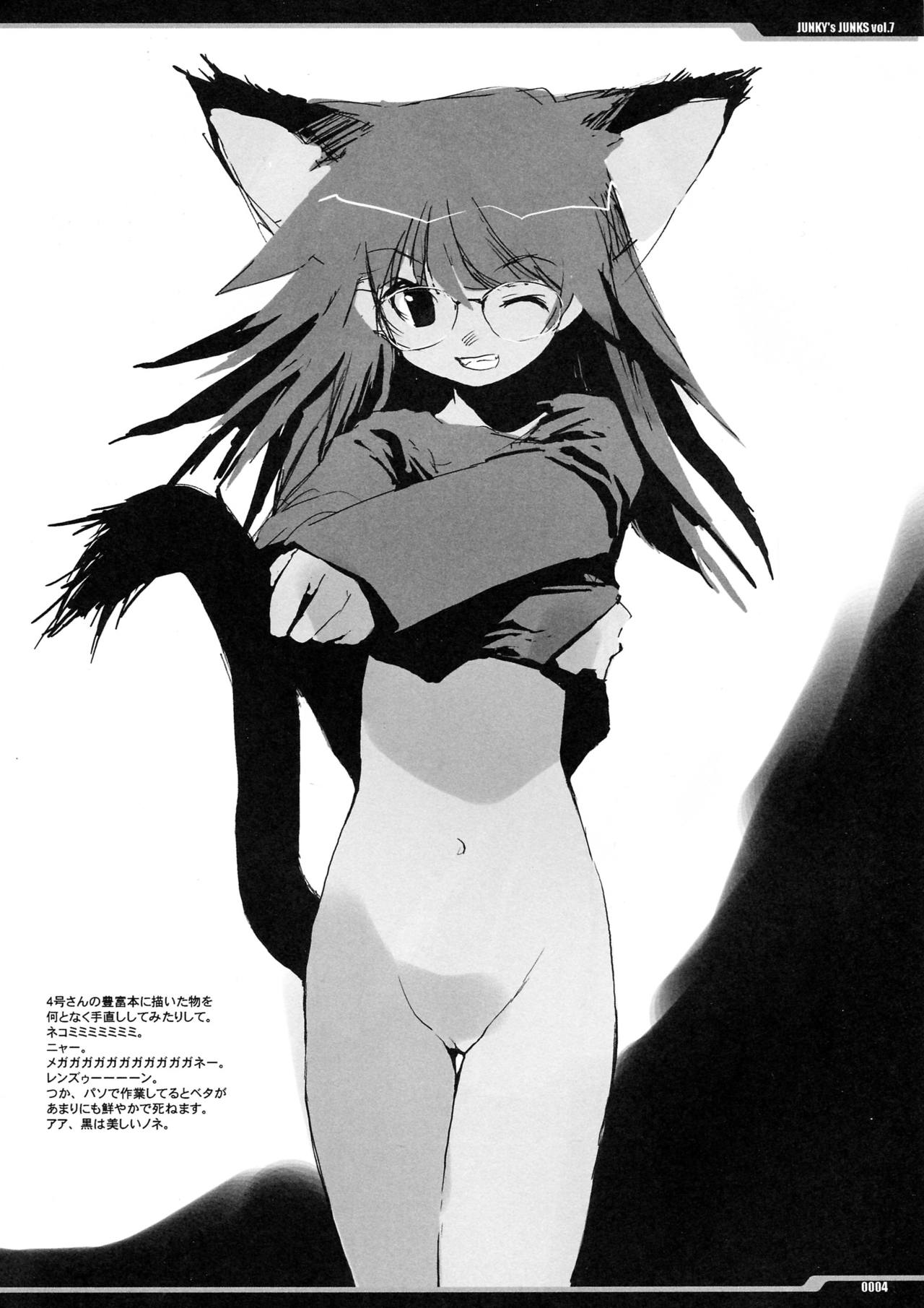 Junky's Junks Vol. 7 page 3 full