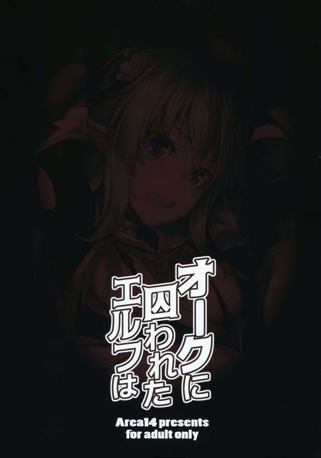 Orc ni Torawareta Elf wa page 3 full