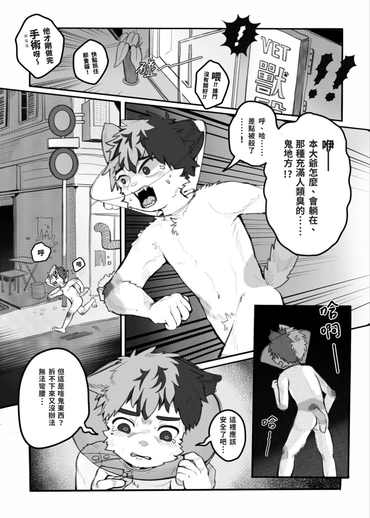 貯精箱 Kitty Bank page 4 full