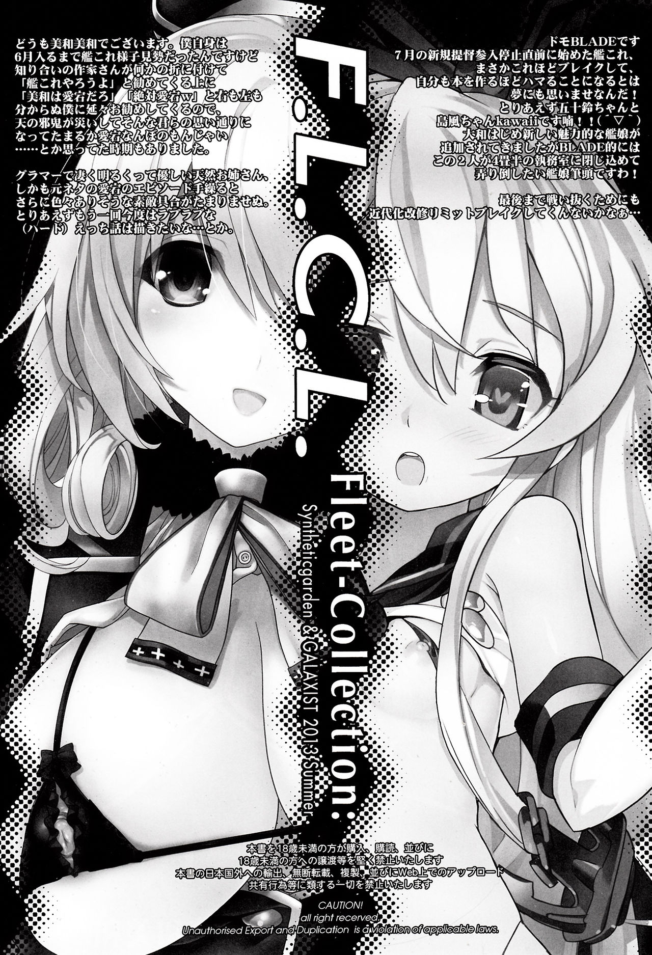 F.L.C.L. Fleet-Collection: page 2 full