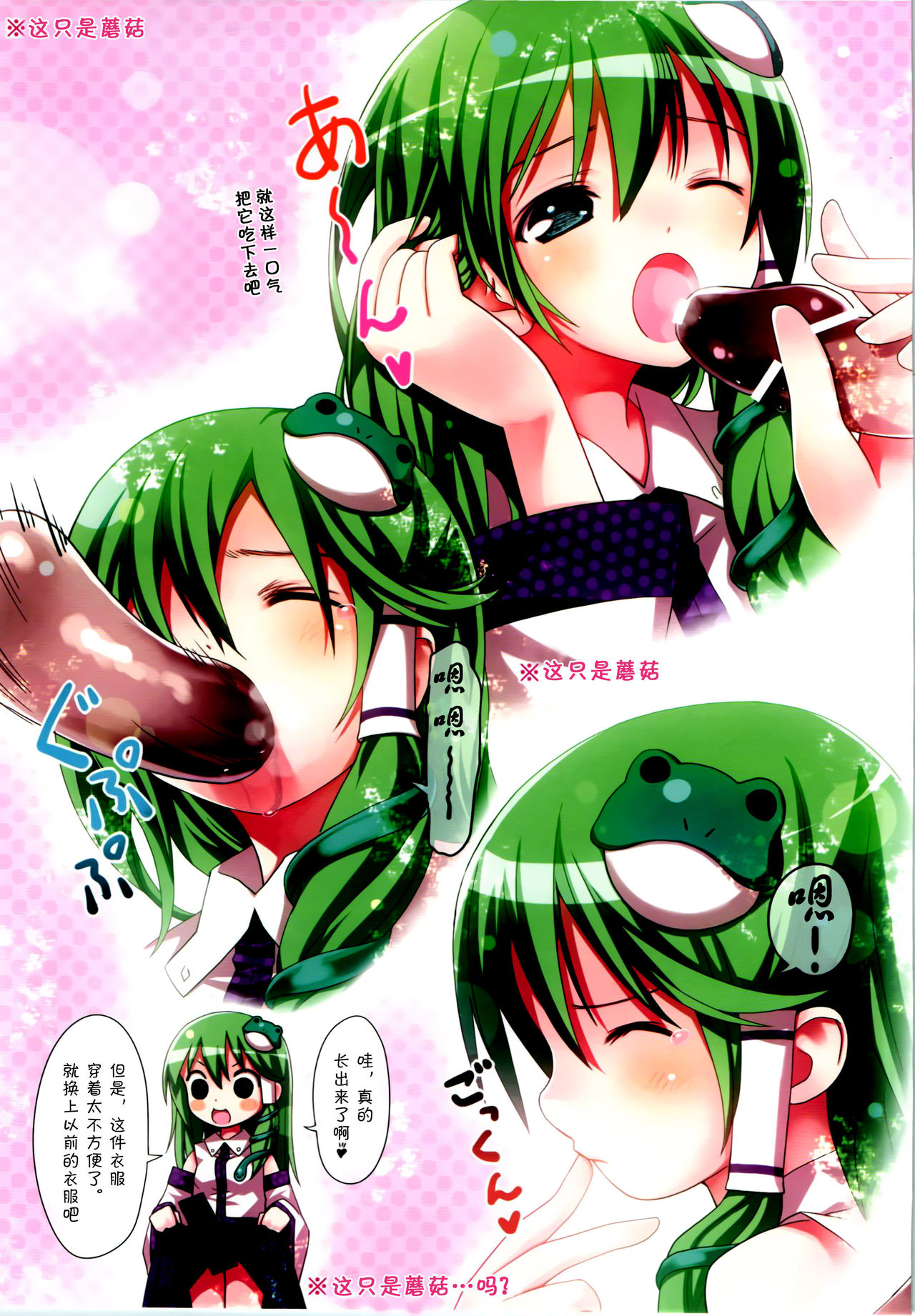 KICHIKU MIKO SANAE ToHo Seirensen Kouryakuhon page 6 full