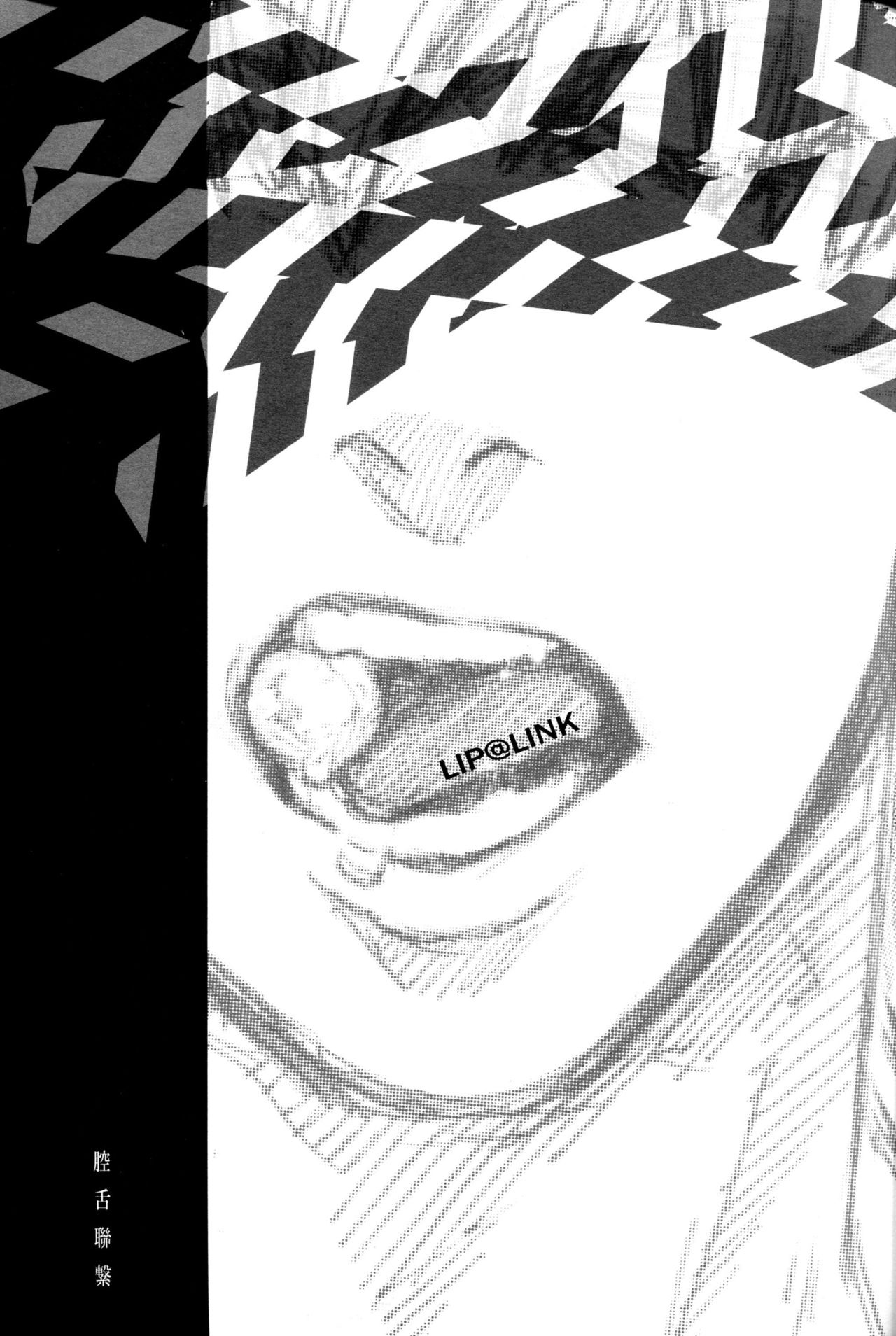 LIP@LINK page 2 full