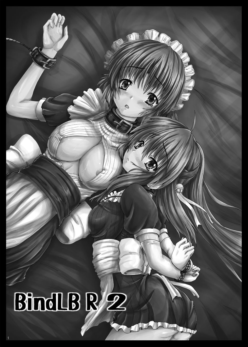 BindLB R2 page 2 full