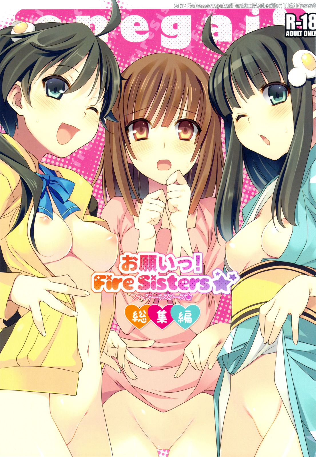 Onegai! FireSisters -Soushuuhen- page 1 full