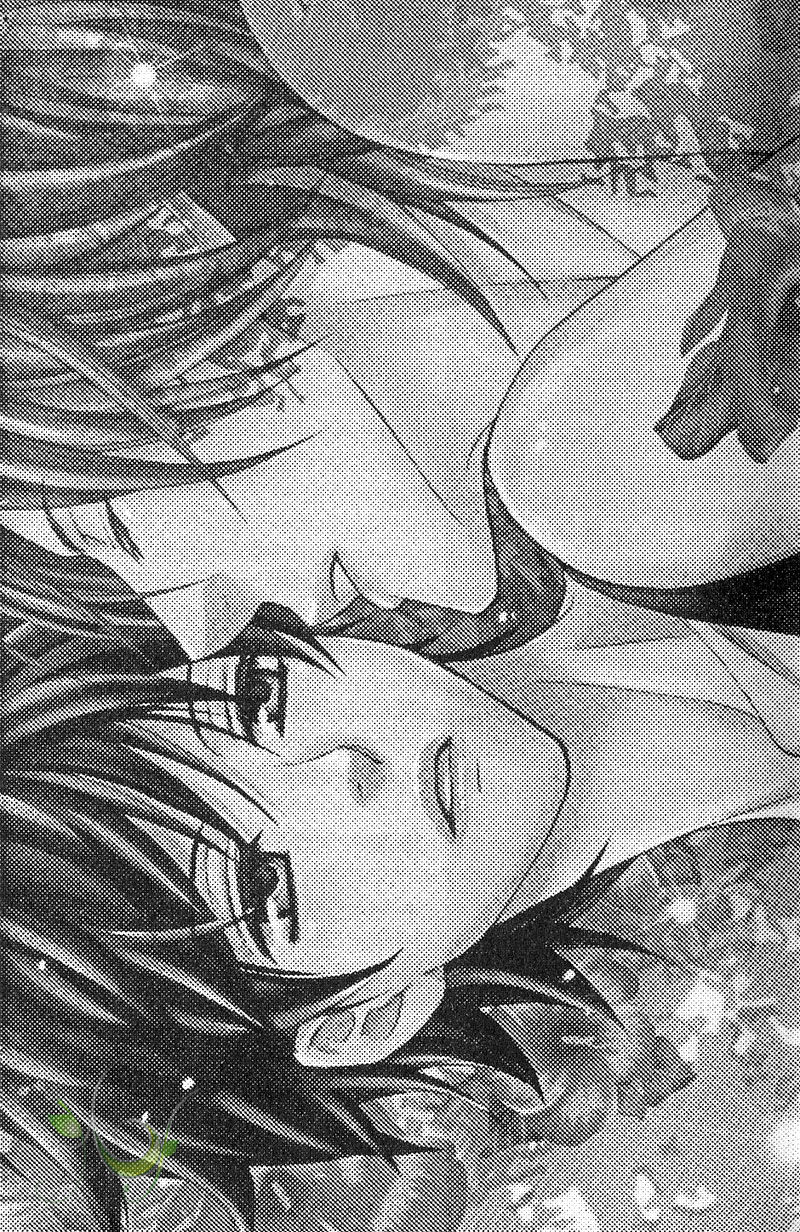 Senpai no Mizugi | 前輩的泳裝 page 3 full