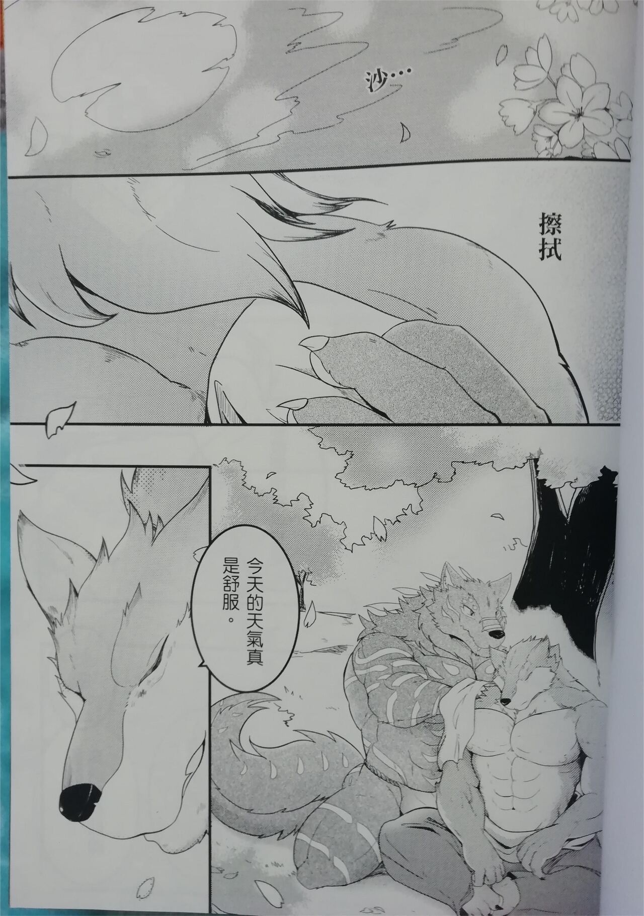 The Wolf Spider3 page 2 full