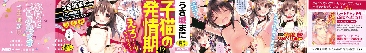 Punitto Complex page 3 full