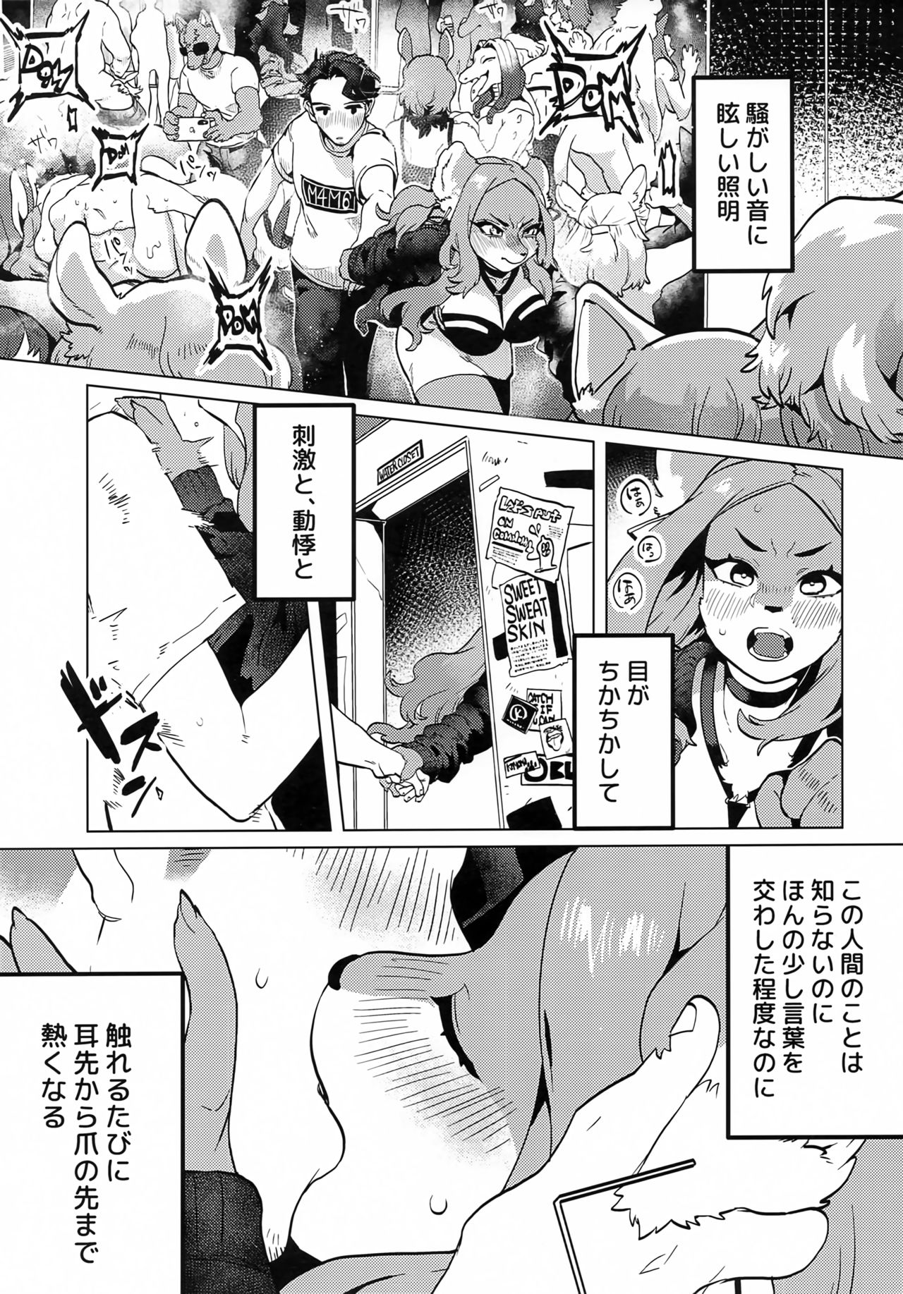 ELECTRONICDANCEMUSIC page 10 full