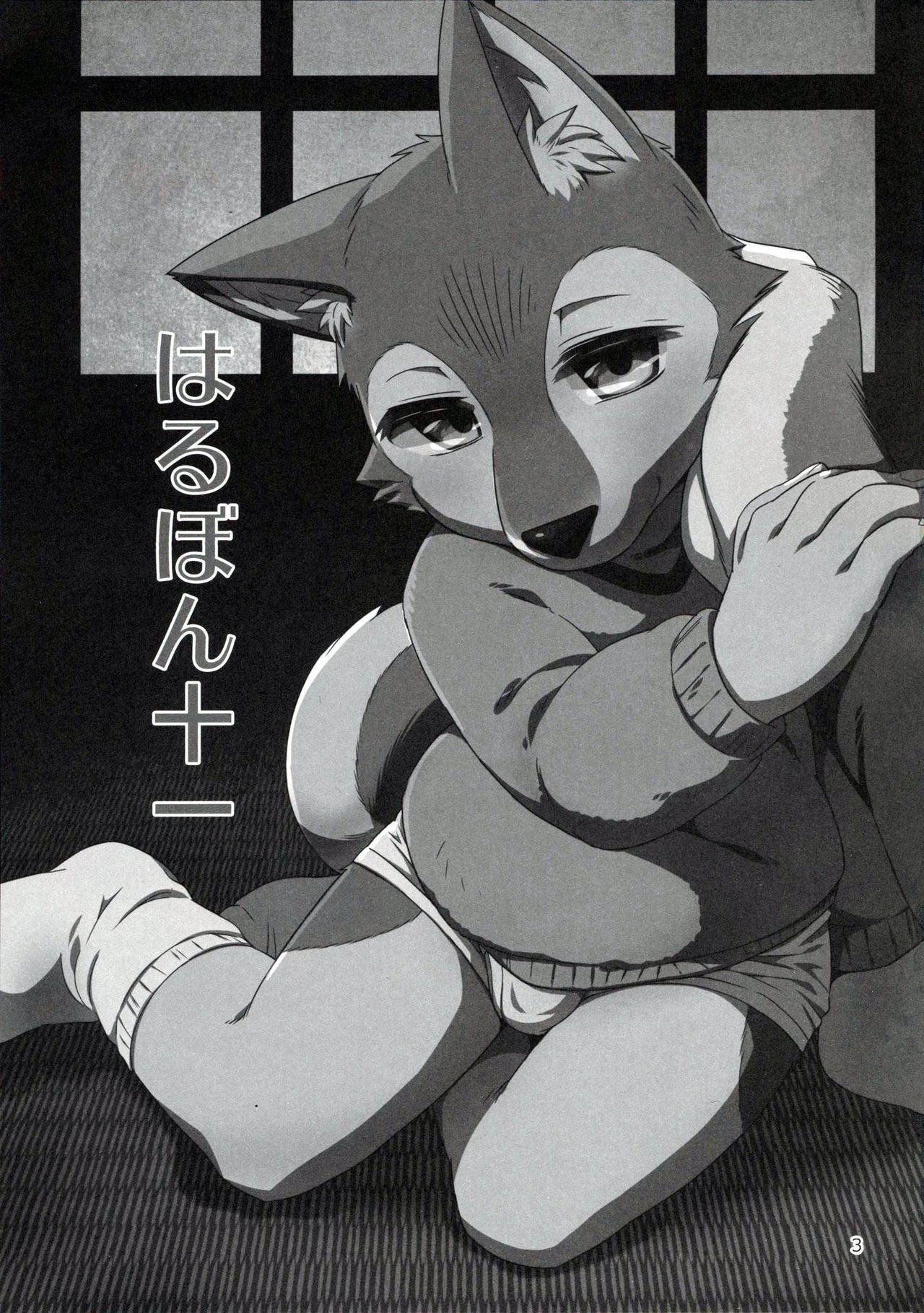 Harubon 11 page 3 full