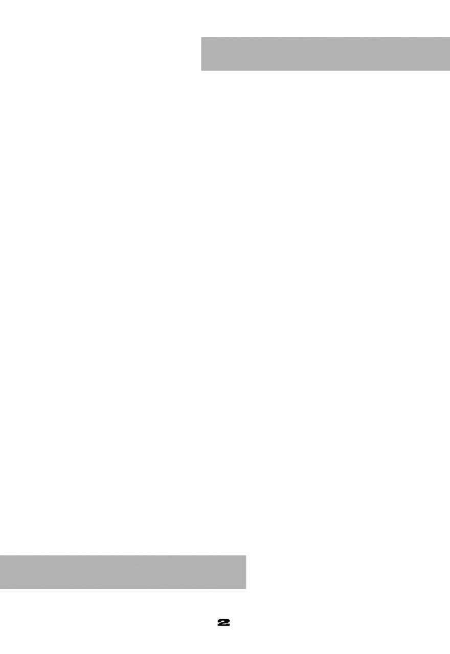 Zimmad to Timbuktu no aida - Between ZIMMAD and Timbuktu page 2 full