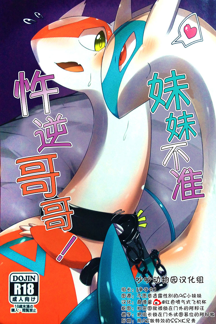 Imouto wa Ani ni Sakaraenai! | 妹妹不准忤逆哥哥! page 1 full