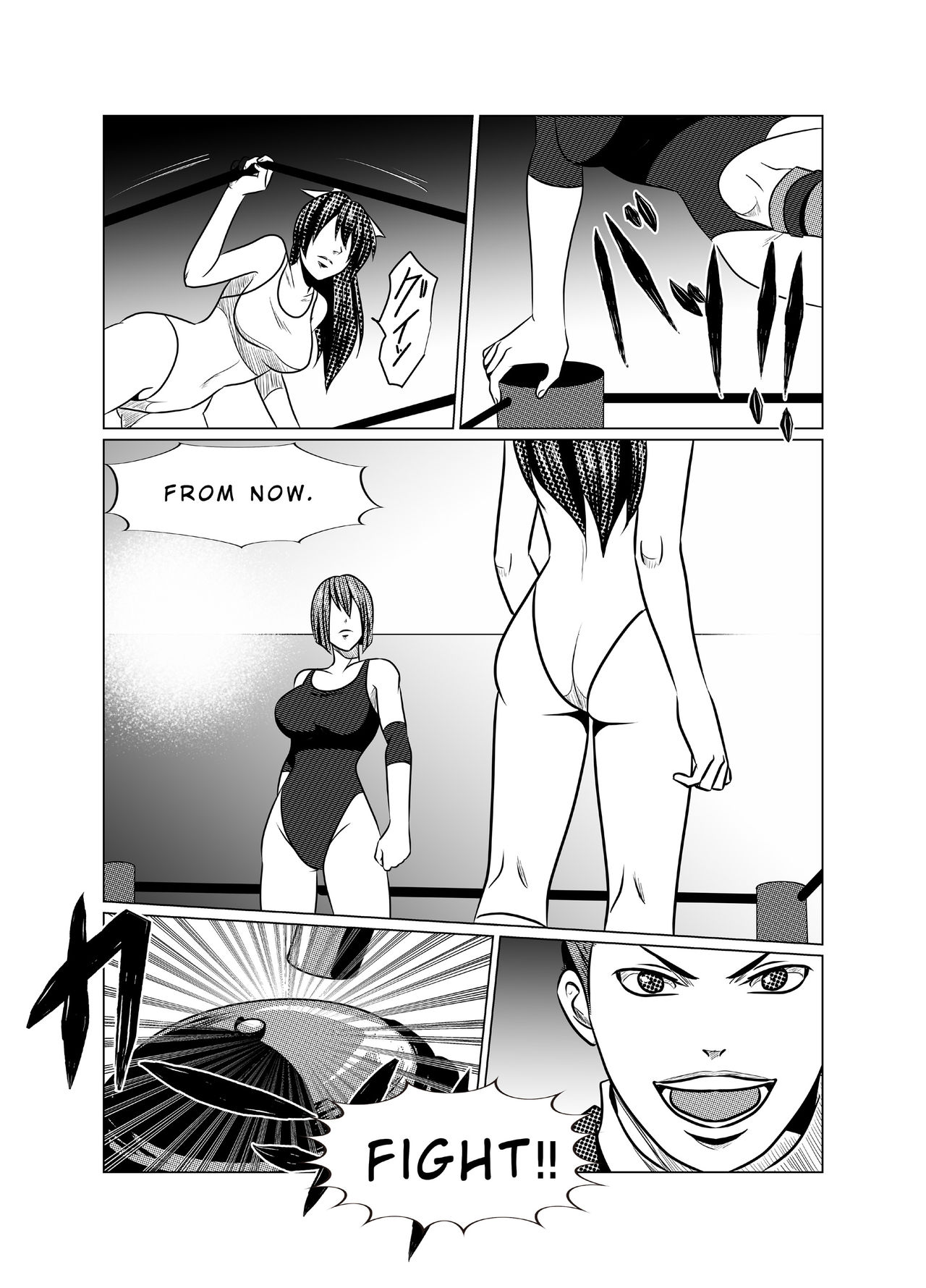 Media Women's Pro Wrestling ~Vengeance~ page 9 full