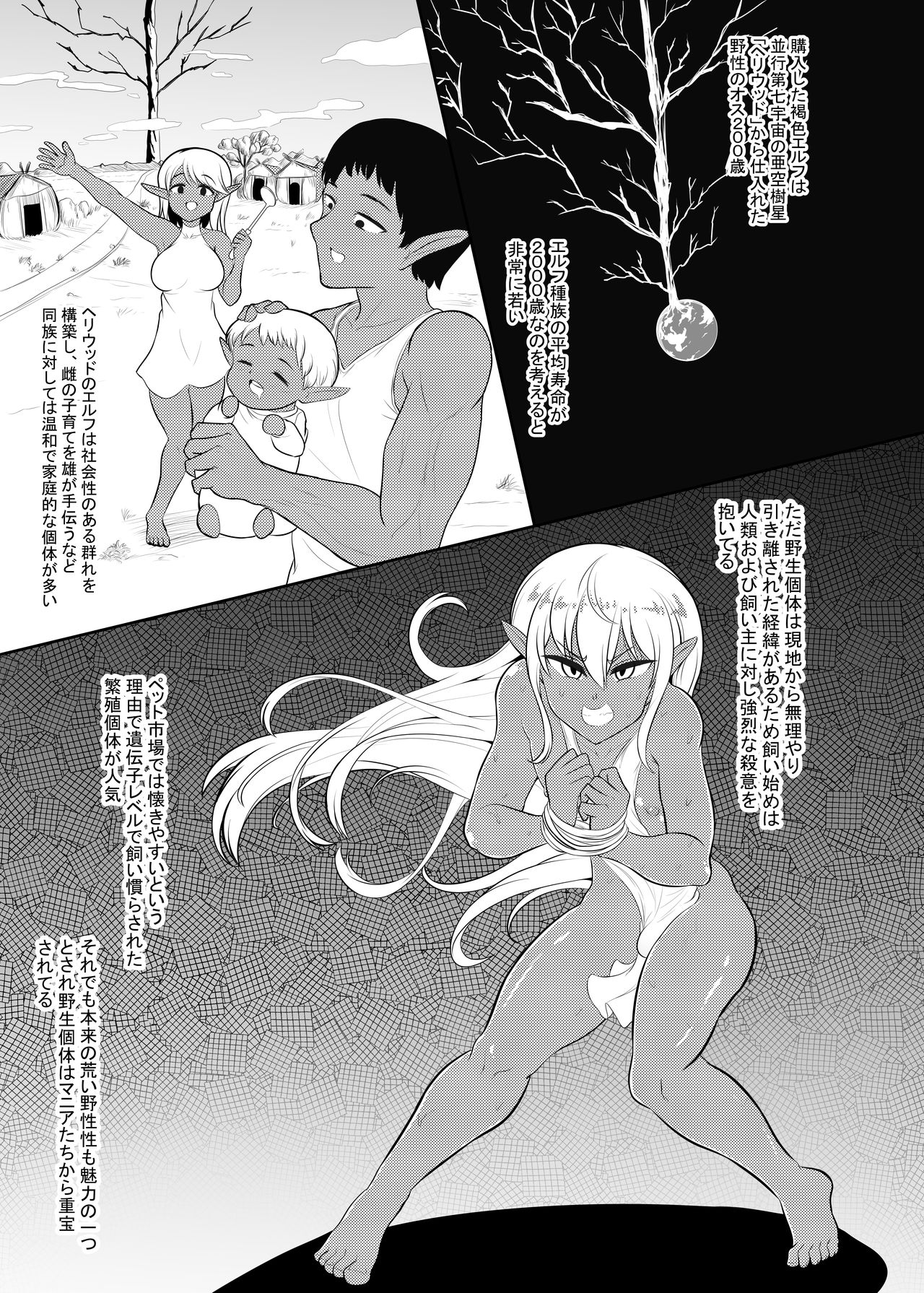 Kasshoku Elf-kun no Kaikata page 5 full