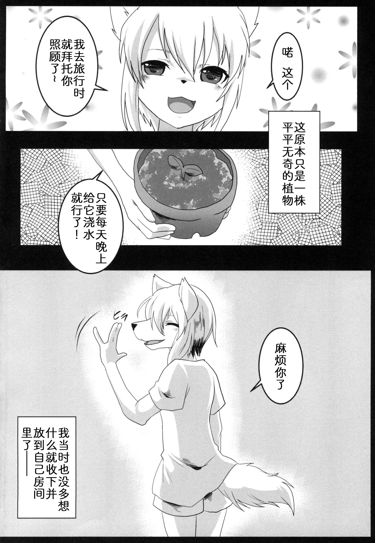 EROSIONE page 4 full