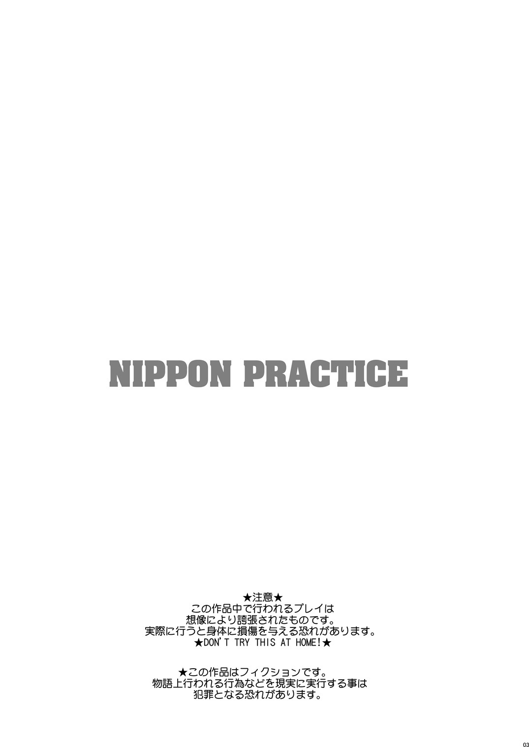 NIPPON PRACTICE page 3 full