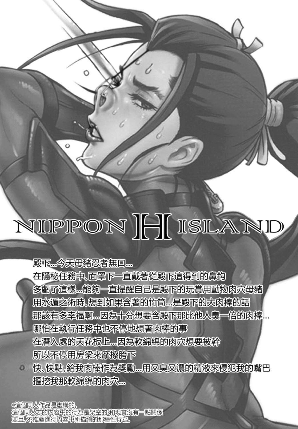 NIPPON H ISLAND page 2 full