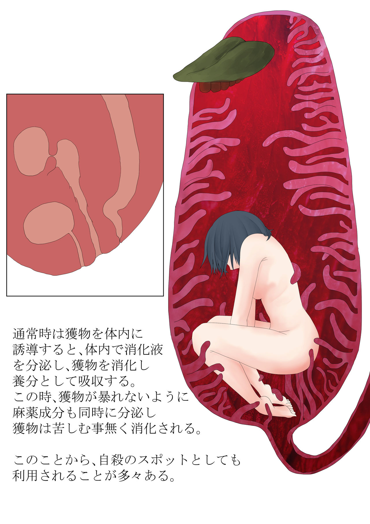Anthropophagist Plant Analysis page 3 full