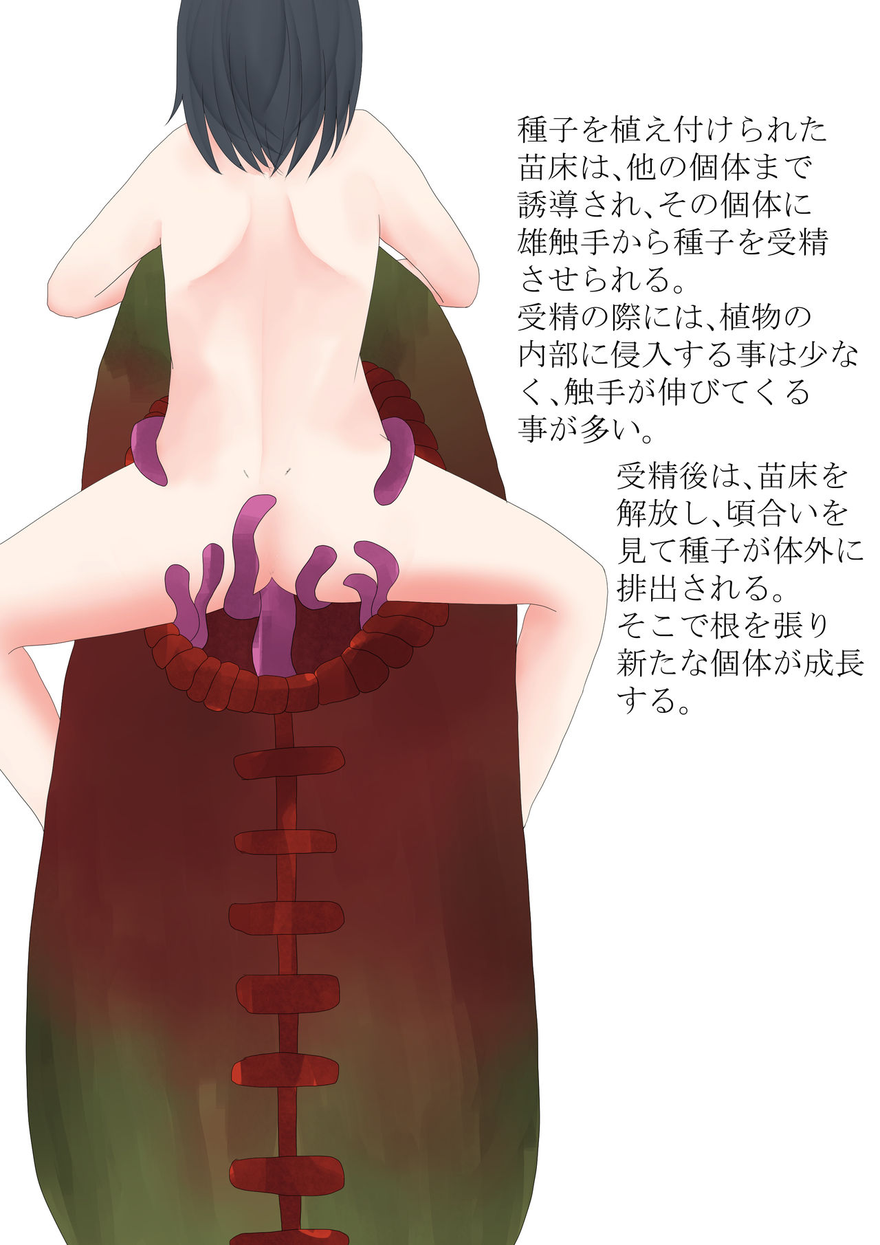 Anthropophagist Plant Analysis page 6 full