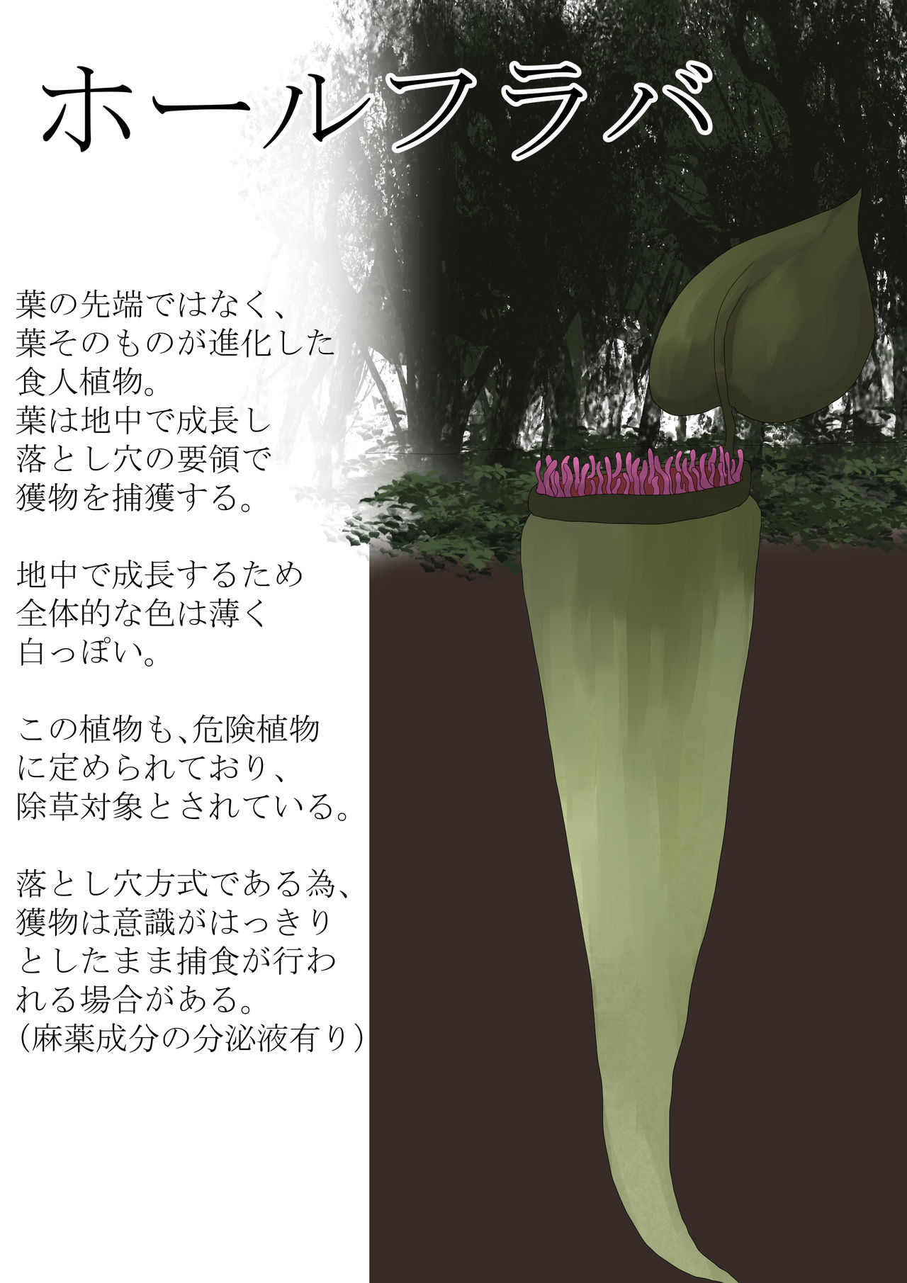 Anthropophagist Plant Analysis page 7 full