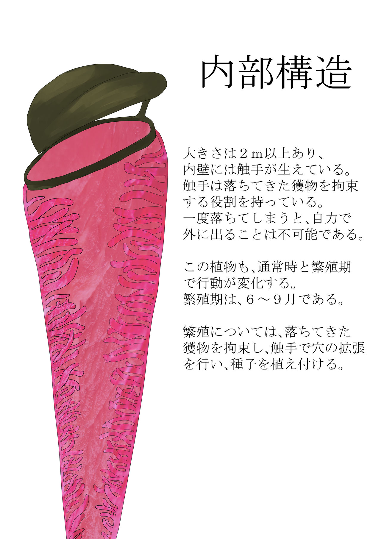 Anthropophagist Plant Analysis page 8 full