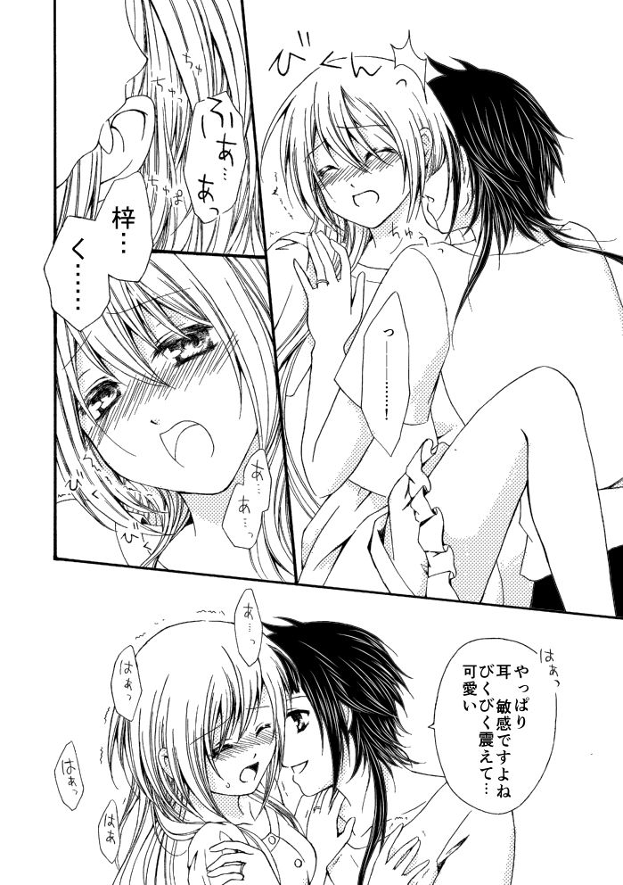 次に出したい梓月漫画の冒頭※R18 starry sky page 5 full