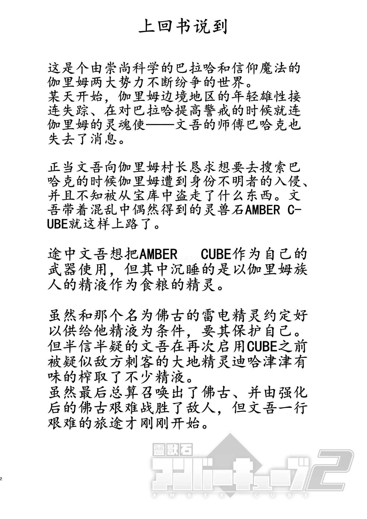 Reijuu Ishi Amber Cube 2 page 8 full