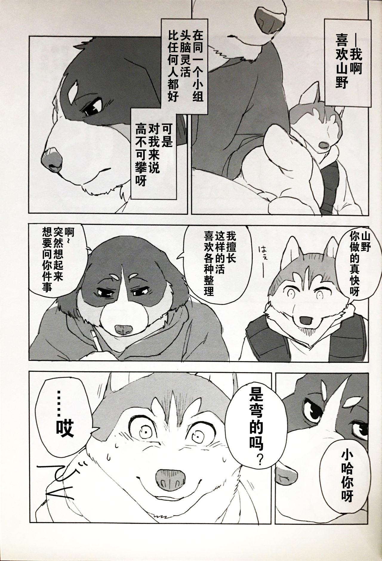 White Esquisse page 4 full