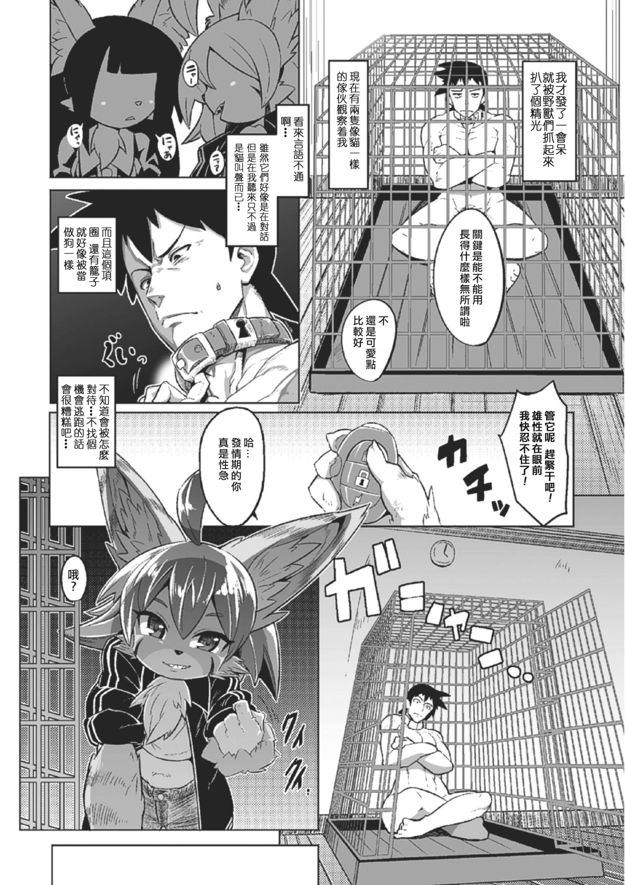 Tadashii Neko no Kawa Rekata page 3 full