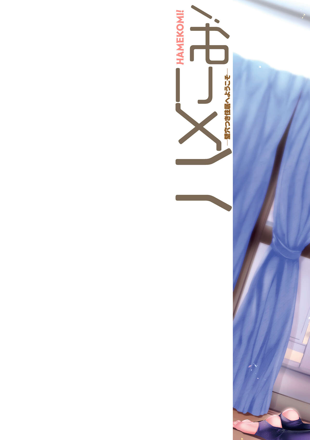 Hamekomi! -Kabeana Tsuki Juukyo e Youkoso- page 3 full