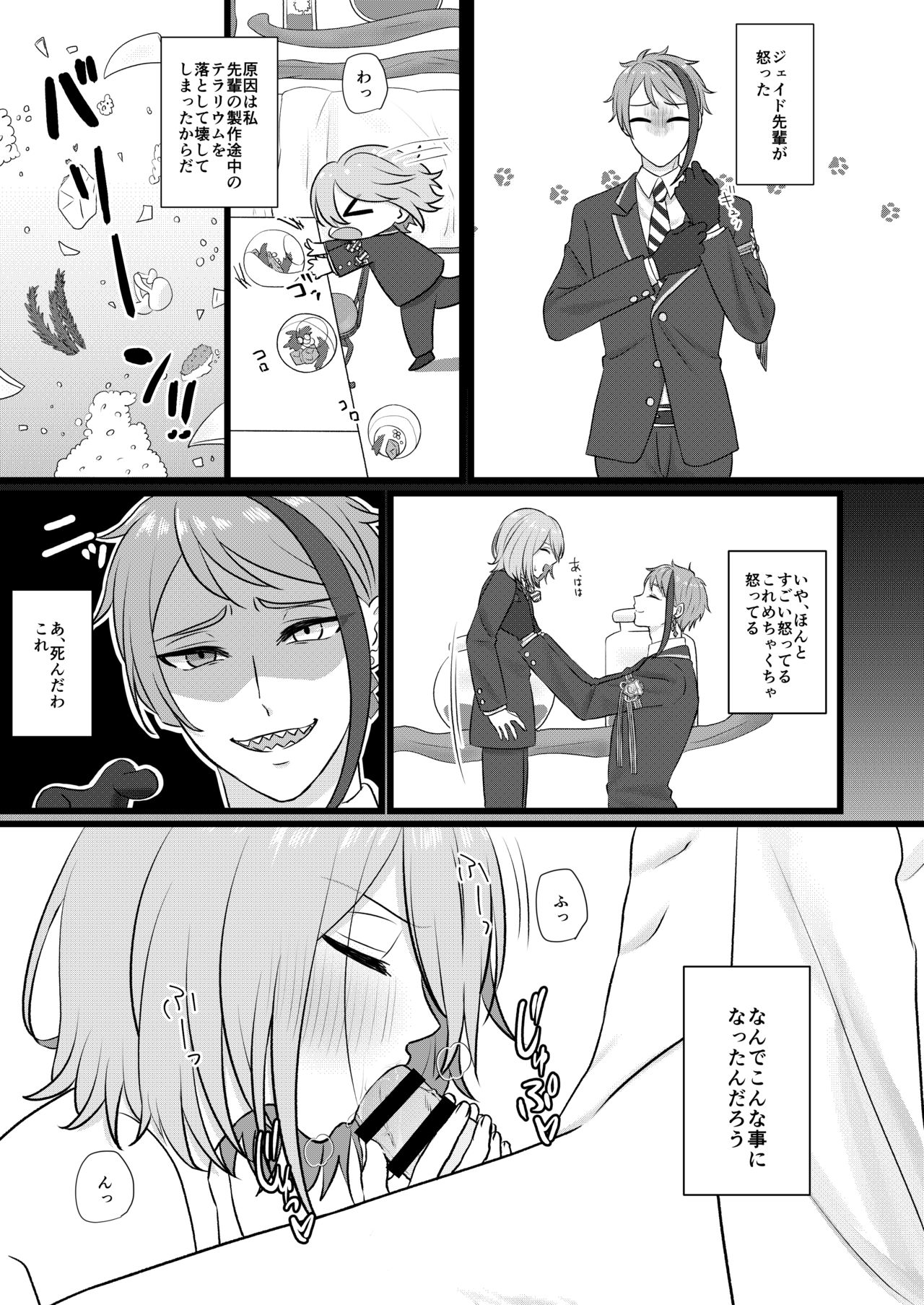 Octavinelle Prefect Book page 5 full