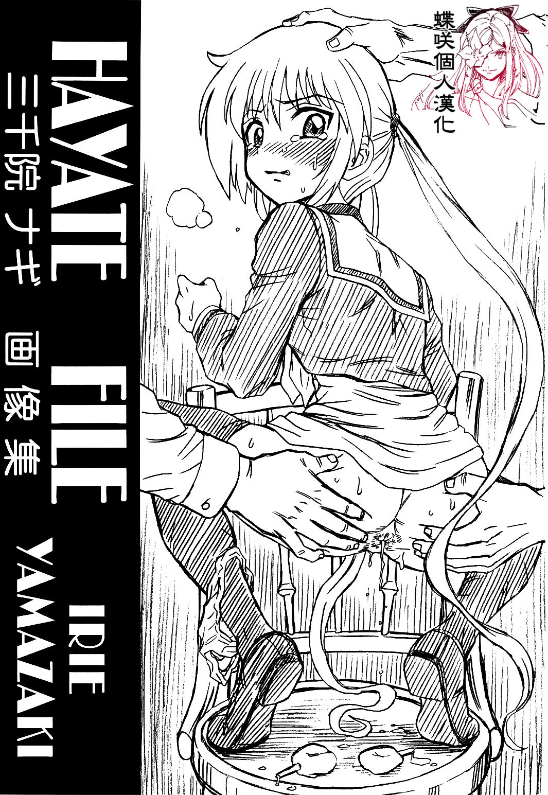 HAYATE FILE Sanzenin Nagi Gazoushuu page 1 full