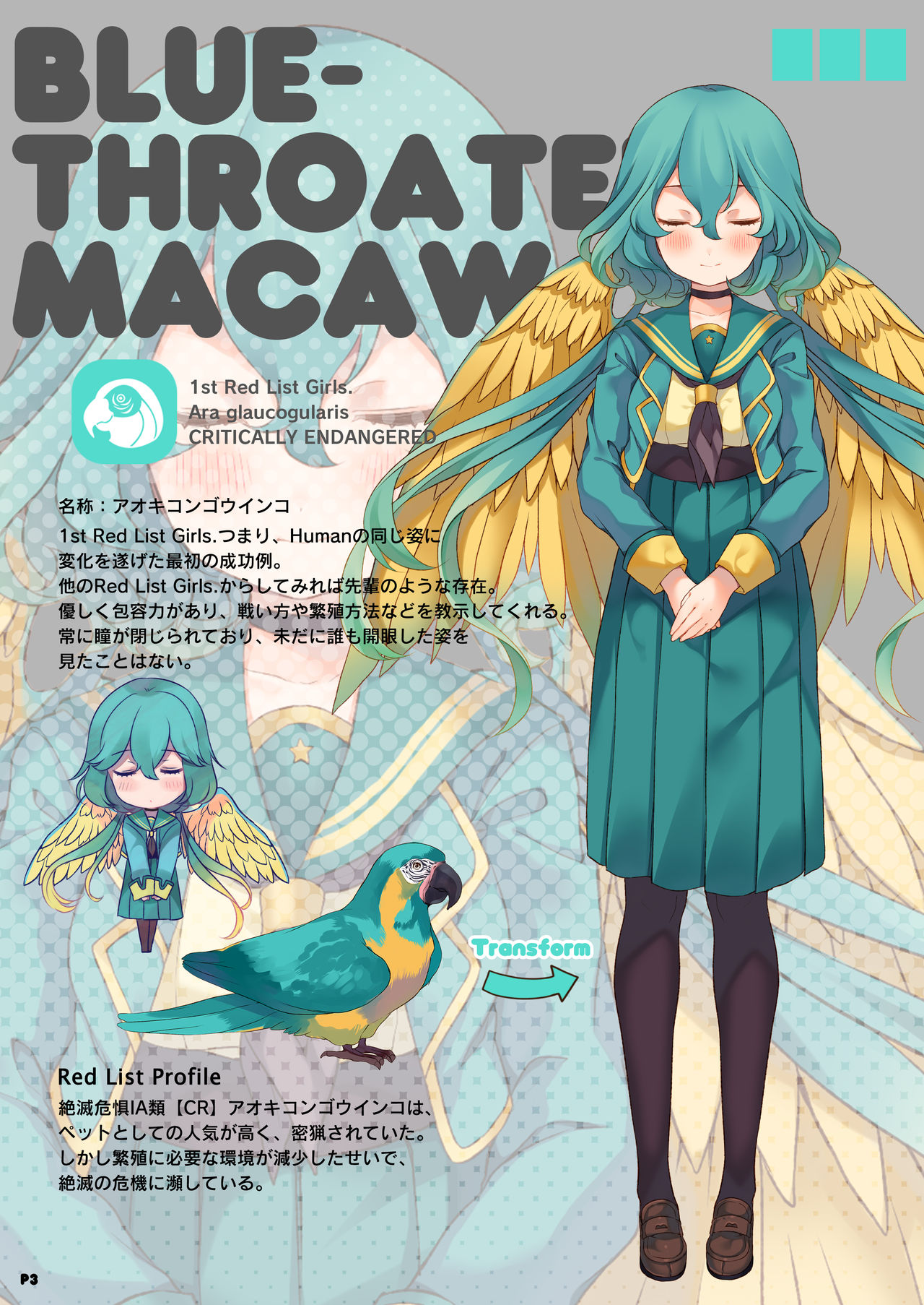 MACAW;EDUCATION page 3 full