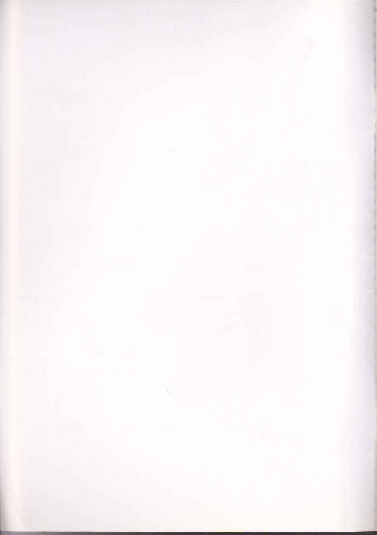 Dolce Rose page 2 full