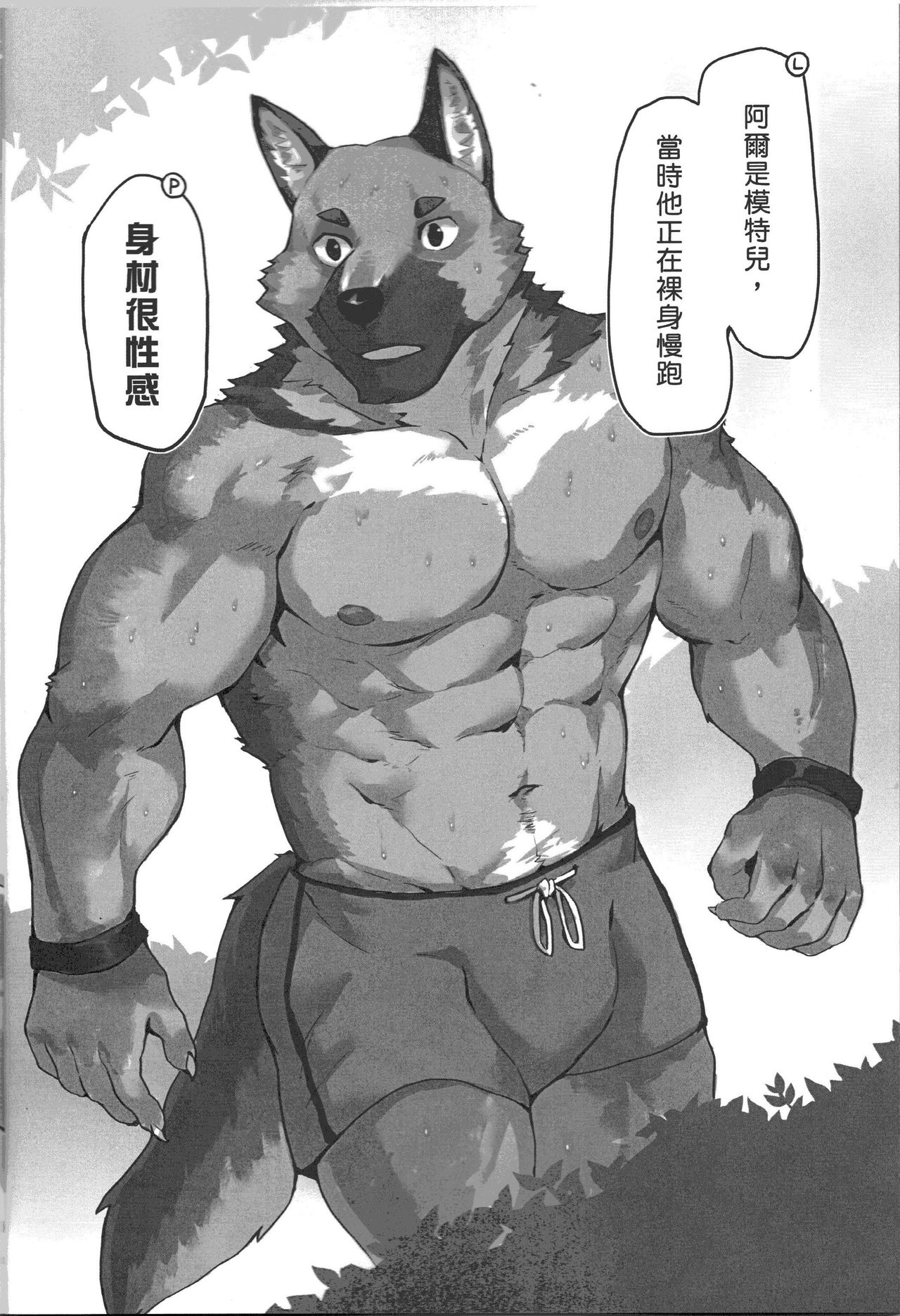 Paparazzi's diary page 5 full