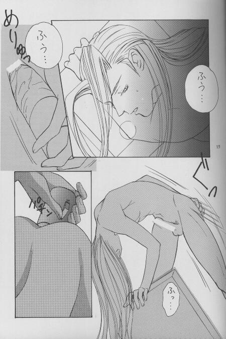 Sephiroth Kyouran page 10 full