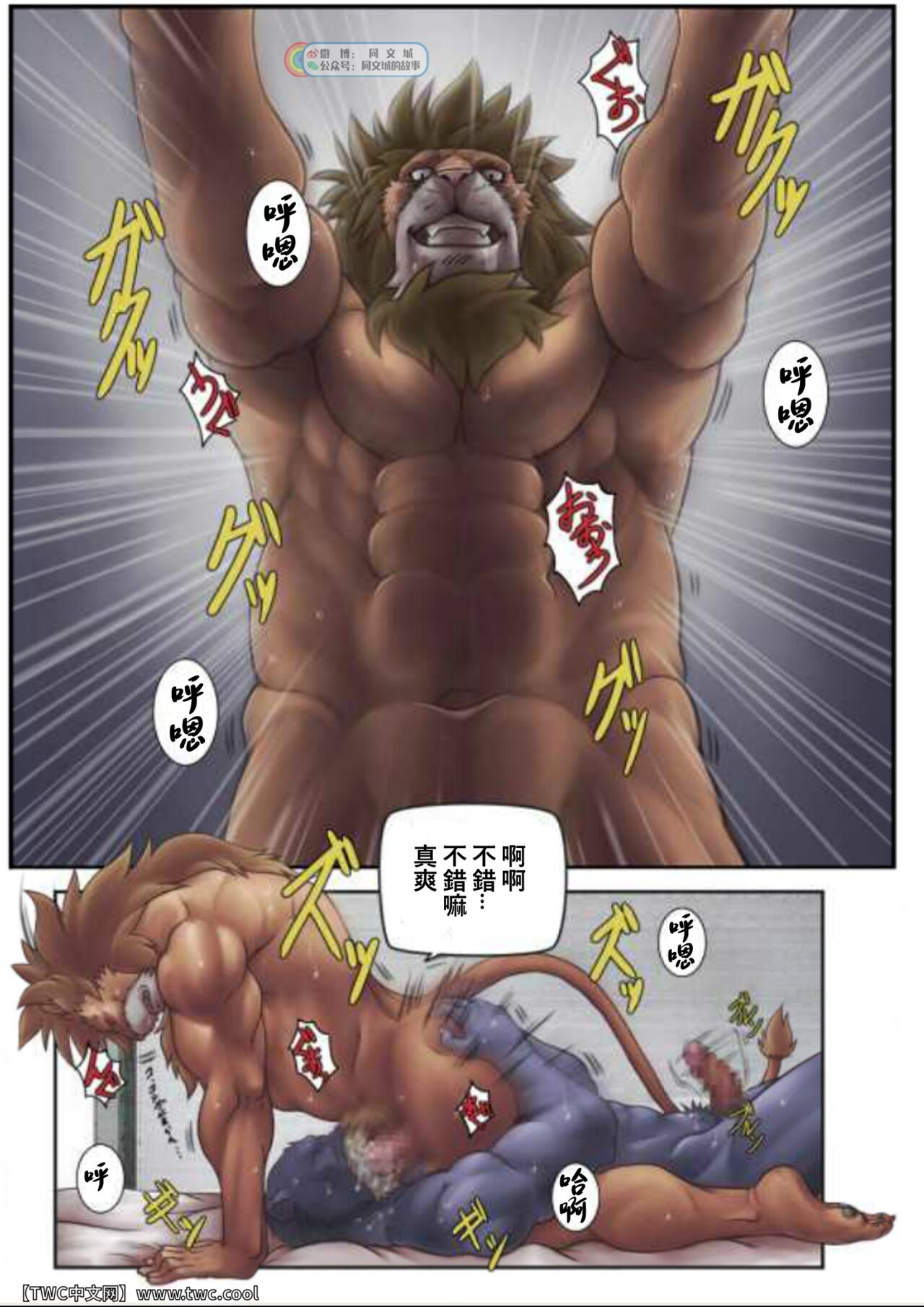 M tokidoki S page 7 full