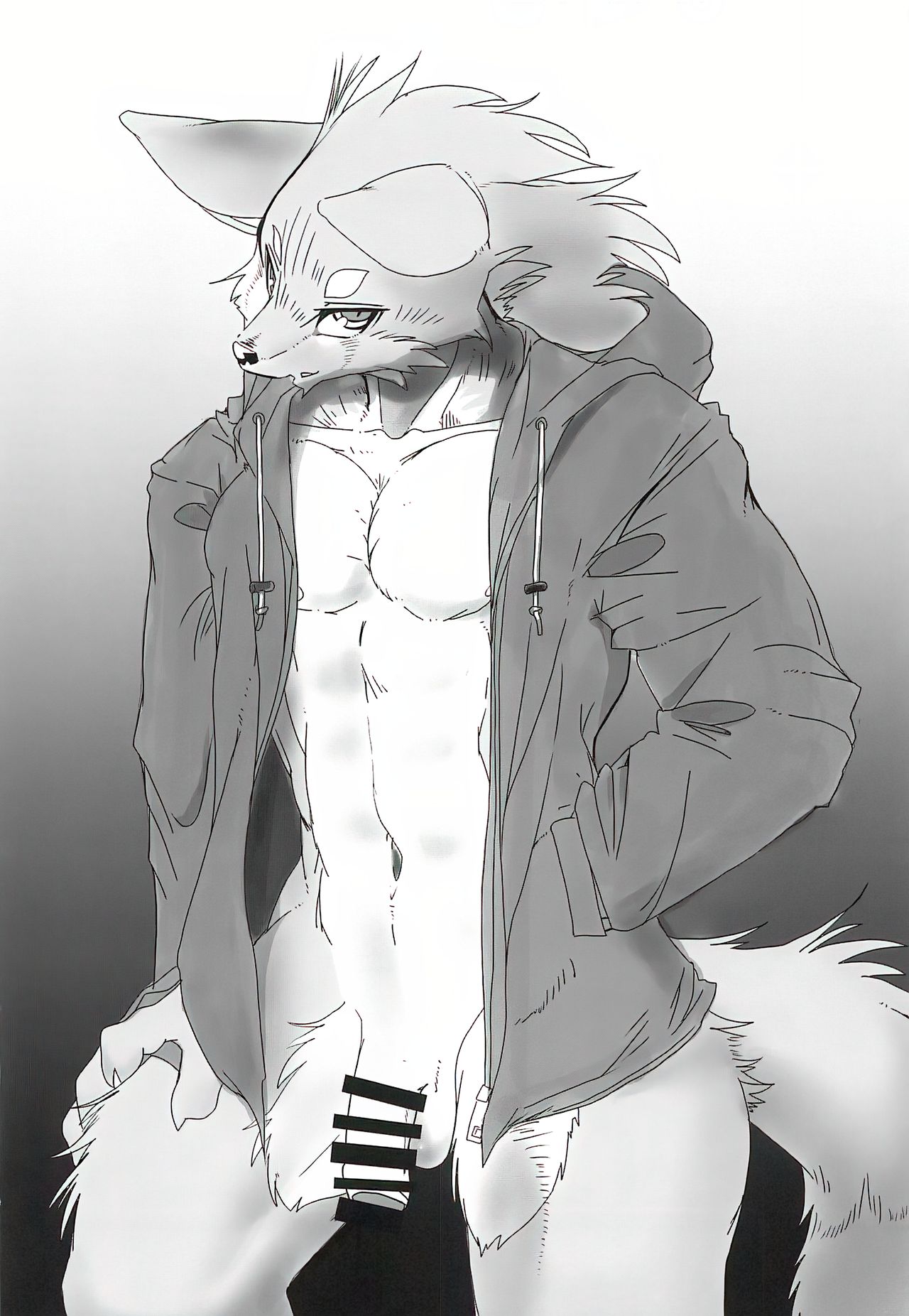 BEST -Hadaka paakaa tokushuu- page 9 full