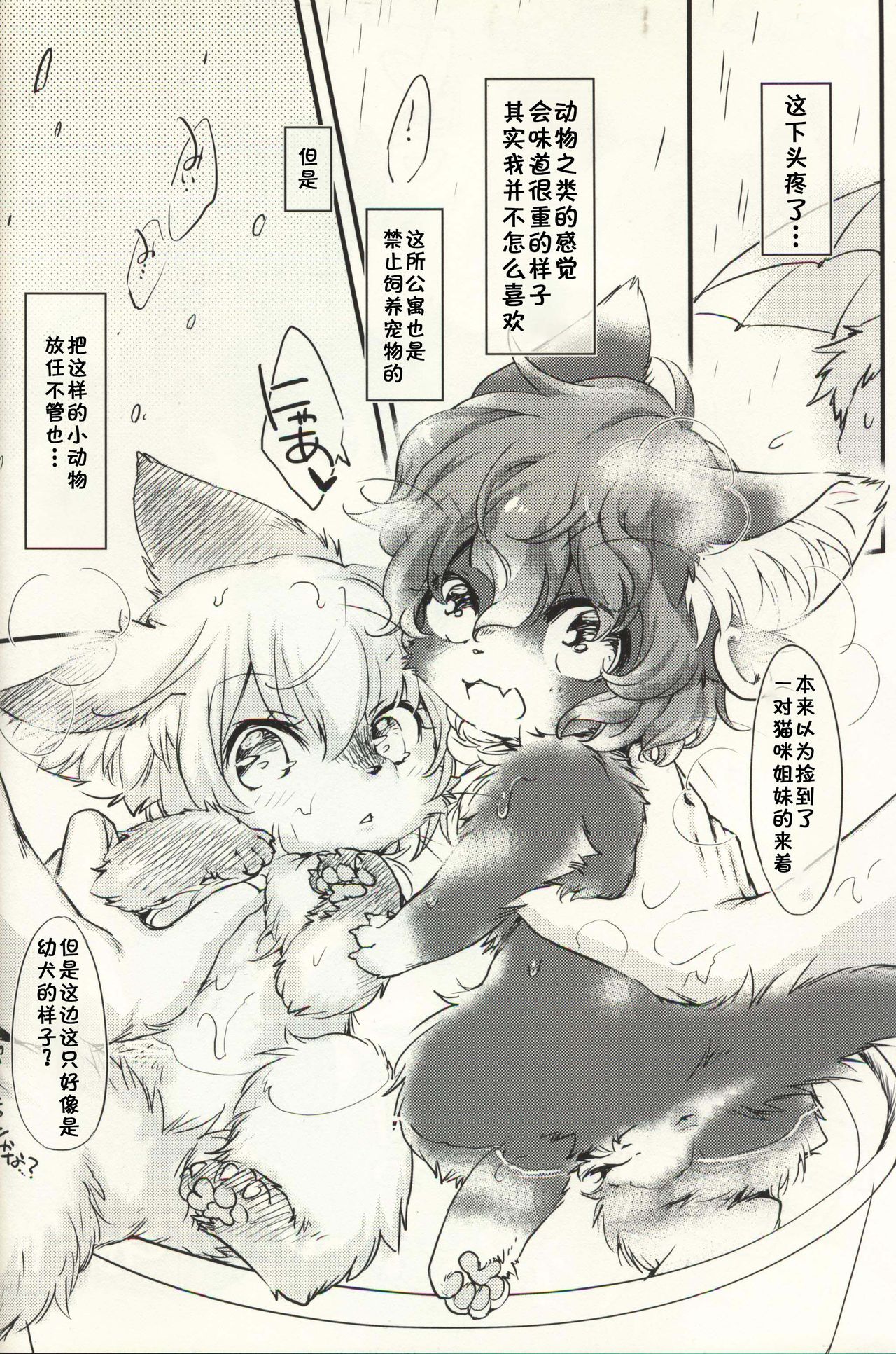 Mof-Pako! BABY and BEAST! | 毛绒爱爱 page 4 full