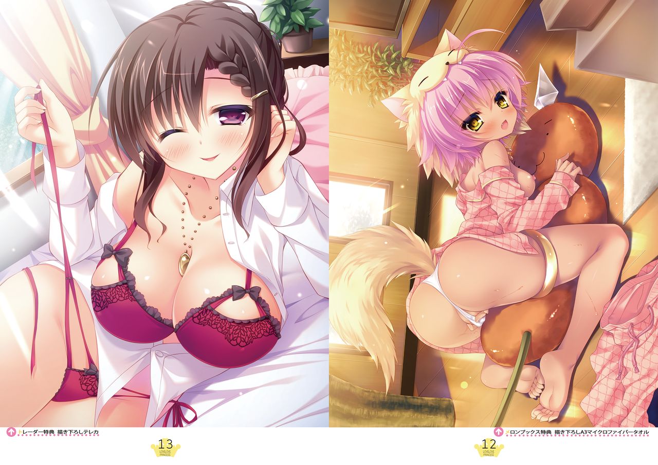 らぶらぶプリンセス Visual Fan Book page 7 full