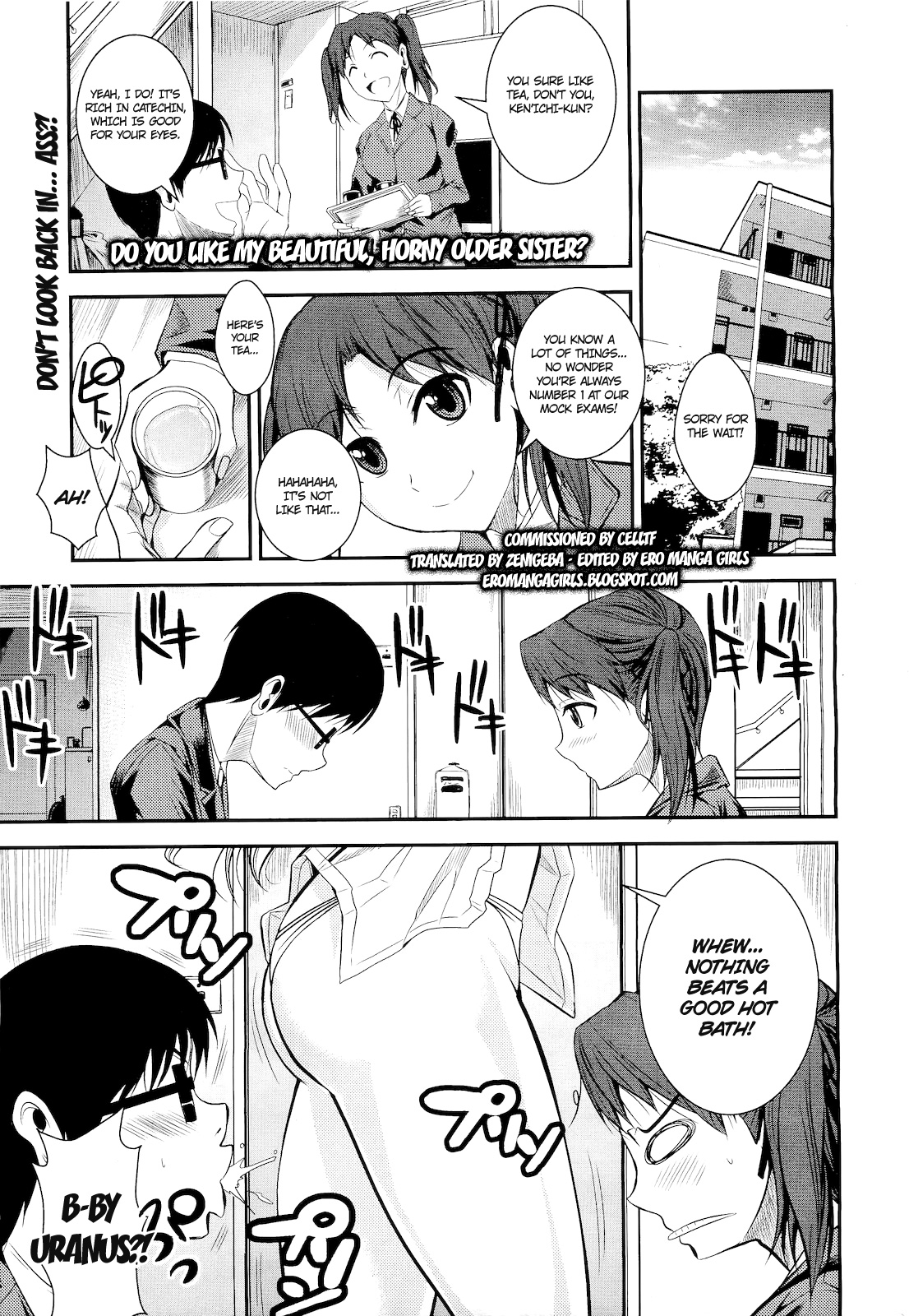 Kirei de Yarashii Oneesan wa, Suki Desuka? | Do You Like My Beautiful, Horny Older Sister? page 1 full