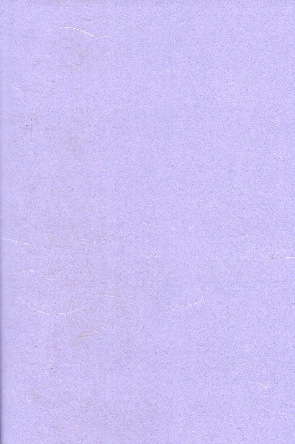 Spicy Spider Caramel Melt page 2 full