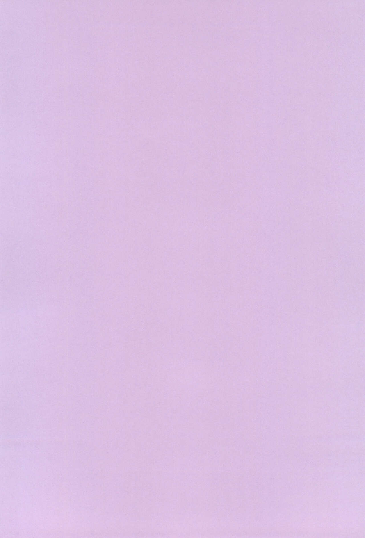 Ani to Kyonyuu Imouto to Futanari 3P to Musuko mo...? -Kodakusan Kazoku desu- page 4 full